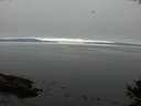 ./images/koeye/fitz-hugh/20141007/fitz-hugh20141007_162502.jpg