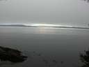 ./images/koeye/fitz-hugh/20141007/fitz-hugh20141007_164001.jpg