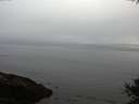 ./images/koeye/fitz-hugh/20141007/fitz-hugh20141007_184002.jpg