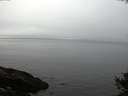 ./images/koeye/fitz-hugh/20141007/fitz-hugh20141007_185501.jpg