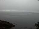 ./images/koeye/fitz-hugh/20141007/fitz-hugh20141007_192002.jpg