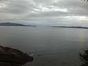 ./images/koeye/fitz-hugh/20141008/fitz-hugh20141008_071503.jpg