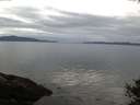 ./images/koeye/fitz-hugh/20141008/fitz-hugh20141008_074502.jpg