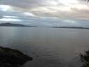 ./images/koeye/fitz-hugh/20141008/fitz-hugh20141008_080502.jpg