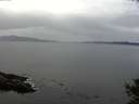 ./images/koeye/fitz-hugh/20141008/fitz-hugh20141008_095501.jpg