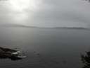 ./images/koeye/fitz-hugh/20141008/fitz-hugh20141008_101002.jpg