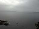 ./images/koeye/fitz-hugh/20141008/fitz-hugh20141008_102001.jpg