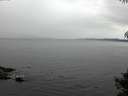 ./images/koeye/fitz-hugh/20141008/fitz-hugh20141008_104502.jpg