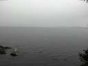 ./images/koeye/fitz-hugh/20141008/fitz-hugh20141008_105003.jpg