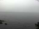 ./images/koeye/fitz-hugh/20141008/fitz-hugh20141008_105503.jpg