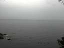 ./images/koeye/fitz-hugh/20141008/fitz-hugh20141008_110502.jpg