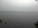 ./images/koeye/fitz-hugh/20141008/fitz-hugh20141008_111003.jpg
