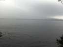 ./images/koeye/fitz-hugh/20141008/fitz-hugh20141008_113502.jpg