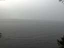 ./images/koeye/fitz-hugh/20141008/fitz-hugh20141008_114503.jpg