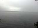 ./images/koeye/fitz-hugh/20141008/fitz-hugh20141008_115001.jpg