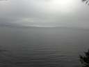 ./images/koeye/fitz-hugh/20141008/fitz-hugh20141008_121002.jpg