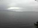 ./images/koeye/fitz-hugh/20141008/fitz-hugh20141008_121501.jpg