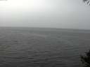 ./images/koeye/fitz-hugh/20141008/fitz-hugh20141008_132003.jpg