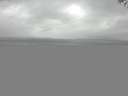 ./images/koeye/fitz-hugh/20141008/fitz-hugh20141008_150502.jpg