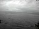 ./images/koeye/fitz-hugh/20141008/fitz-hugh20141008_151503.jpg