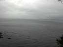 ./images/koeye/fitz-hugh/20141008/fitz-hugh20141008_152502.jpg