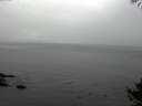 ./images/koeye/fitz-hugh/20141008/fitz-hugh20141008_154003.jpg