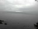 ./images/koeye/fitz-hugh/20141008/fitz-hugh20141008_154502.jpg
