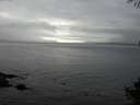 ./images/koeye/fitz-hugh/20141008/fitz-hugh20141008_160002.jpg