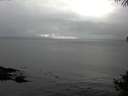 ./images/koeye/fitz-hugh/20141008/fitz-hugh20141008_160503.jpg