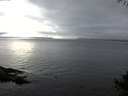 ./images/koeye/fitz-hugh/20141008/fitz-hugh20141008_162002.jpg