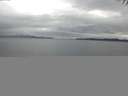 ./images/koeye/fitz-hugh/20141008/fitz-hugh20141008_181502.jpg