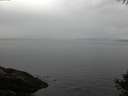 ./images/koeye/fitz-hugh/20141008/fitz-hugh20141008_182502.jpg