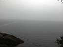 ./images/koeye/fitz-hugh/20141008/fitz-hugh20141008_184003.jpg