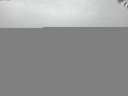 ./images/koeye/fitz-hugh/20141008/fitz-hugh20141008_184503.jpg