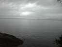 ./images/koeye/fitz-hugh/20141008/fitz-hugh20141008_192002.jpg
