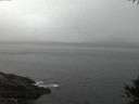 ./images/koeye/fitz-hugh/20141009/fitz-hugh20141009_071502.jpg