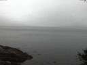 ./images/koeye/fitz-hugh/20141009/fitz-hugh20141009_072001.jpg