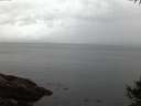 ./images/koeye/fitz-hugh/20141009/fitz-hugh20141009_072502.jpg
