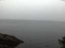 ./images/koeye/fitz-hugh/20141009/fitz-hugh20141009_074001.jpg