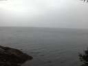 ./images/koeye/fitz-hugh/20141009/fitz-hugh20141009_074502.jpg