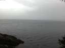 ./images/koeye/fitz-hugh/20141009/fitz-hugh20141009_075001.jpg