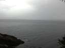 ./images/koeye/fitz-hugh/20141009/fitz-hugh20141009_075502.jpg