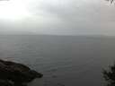 ./images/koeye/fitz-hugh/20141009/fitz-hugh20141009_080002.jpg