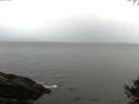 ./images/koeye/fitz-hugh/20141009/fitz-hugh20141009_081002.jpg