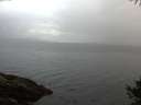 ./images/koeye/fitz-hugh/20141009/fitz-hugh20141009_082003.jpg