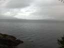 ./images/koeye/fitz-hugh/20141009/fitz-hugh20141009_082503.jpg