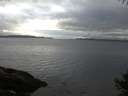 ./images/koeye/fitz-hugh/20141009/fitz-hugh20141009_083502.jpg