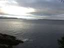 ./images/koeye/fitz-hugh/20141009/fitz-hugh20141009_084502.jpg