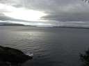 ./images/koeye/fitz-hugh/20141009/fitz-hugh20141009_085002.jpg