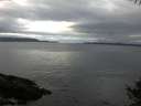 ./images/koeye/fitz-hugh/20141009/fitz-hugh20141009_085502.jpg